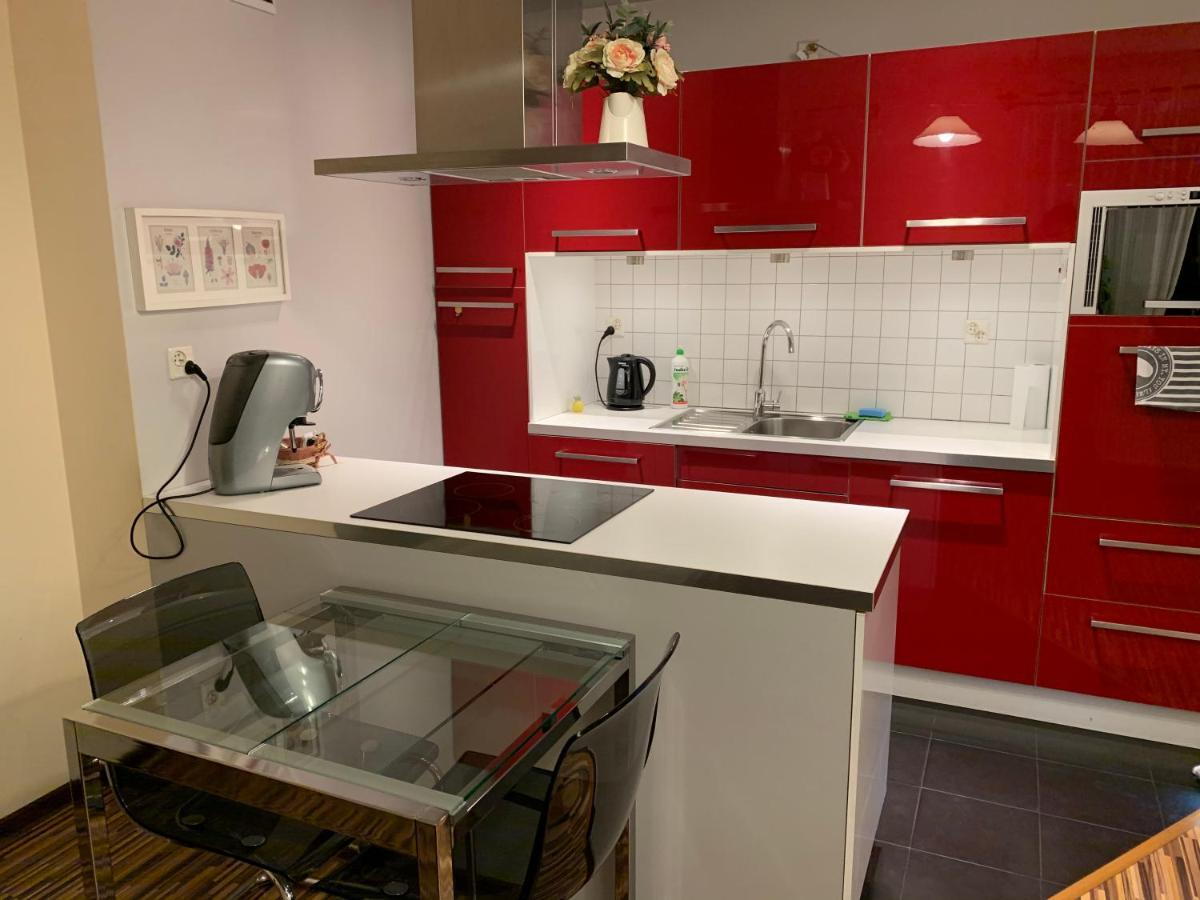 Apartament Podgorna 12 Stary Toruń Buitenkant foto
